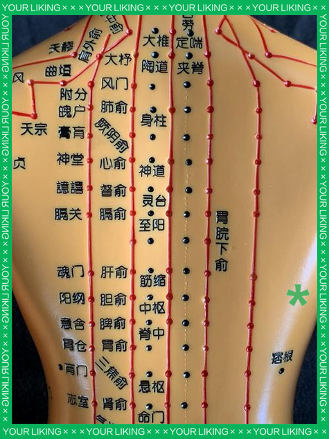 经络图动画演示