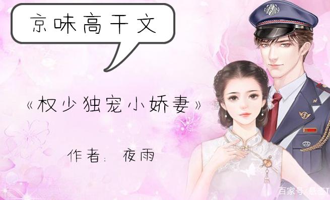 权少独宠小娇妻游戏截图