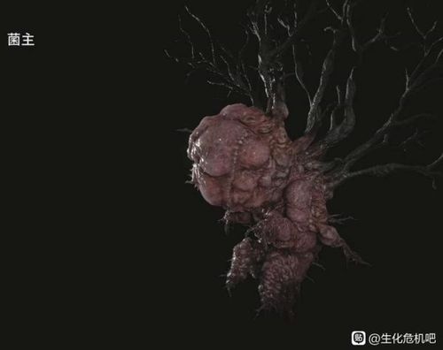 生化危机8公爵是菌主吗