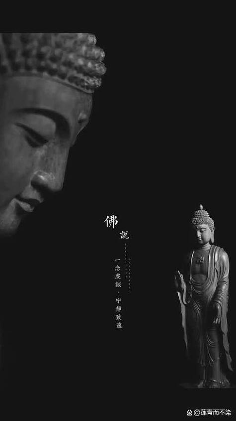 禅意佛心100张图片