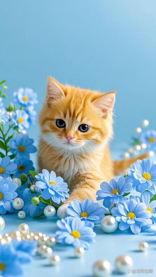 猫图片高清大图游戏截图