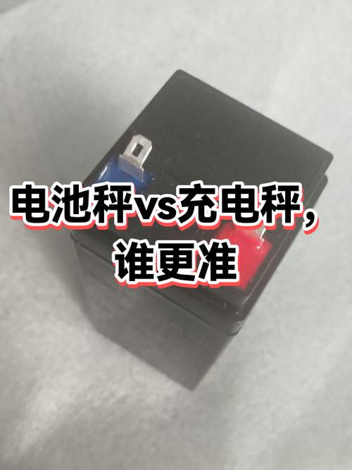 人体秤充电的好还是电池的好