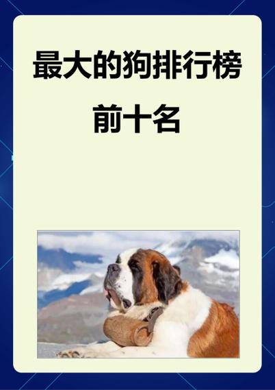 名狗排行榜前十名