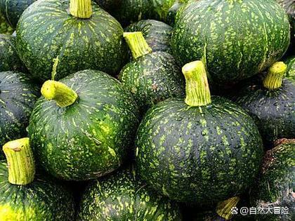 小南瓜又叫什么名字