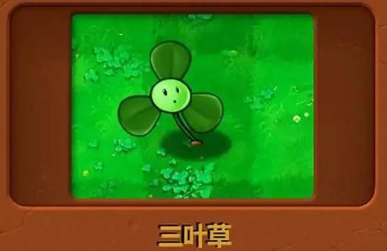 植物大战僵尸有什么植物