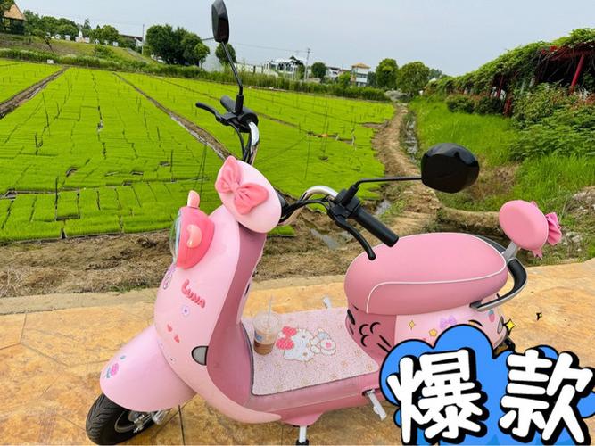 爱玛电动车右边绿色按钮作用