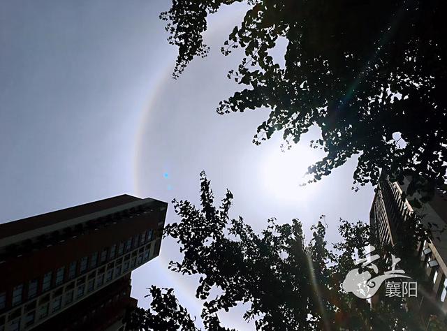 迎着太阳拍照旁边有个小圆点游戏截图