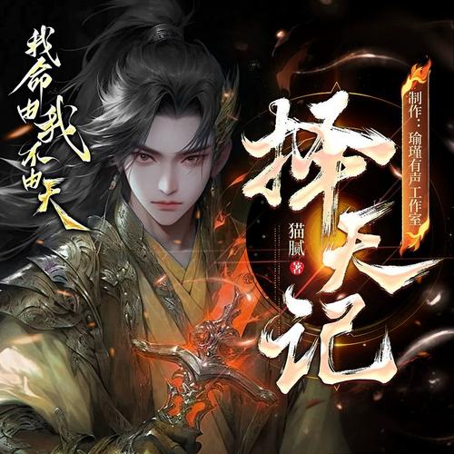 择天记小说笔趣阁无弹窗