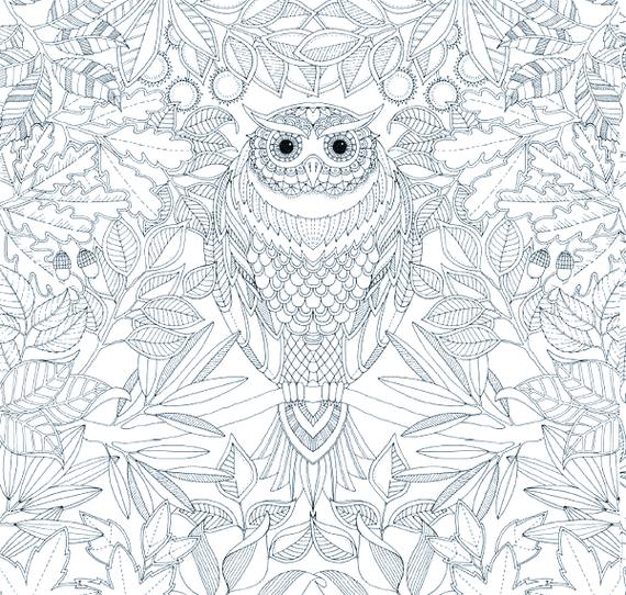 秘密花园涂色作品高清欣赏