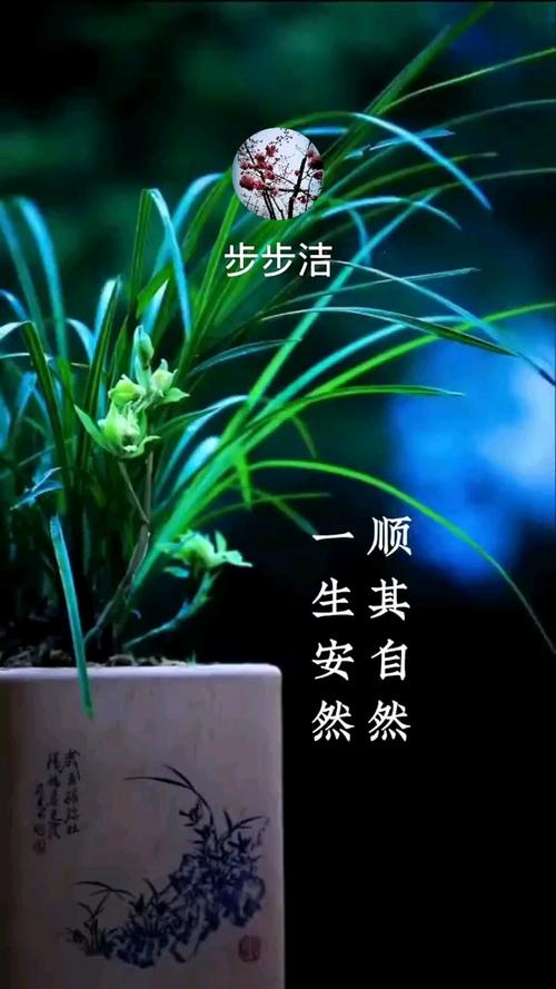 1365的谐音是什么截图