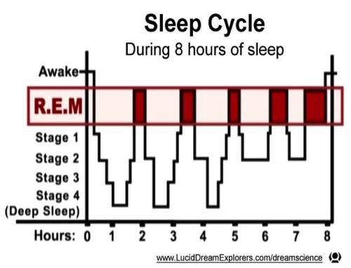 sleep cycle安卓版下载