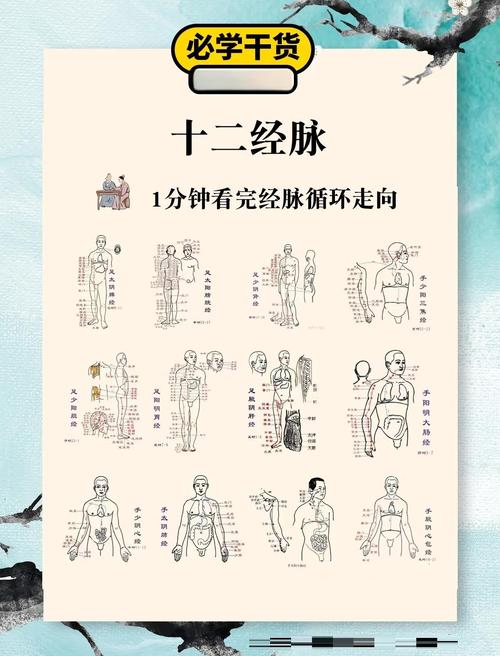 十二经络图解高清大图 走向游戏截图