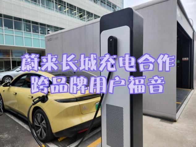 长城欧拉充电说明