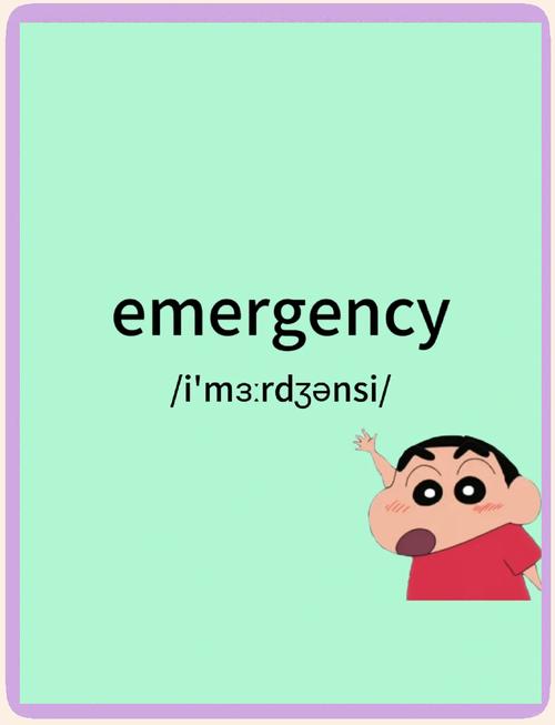 emergency可数吗