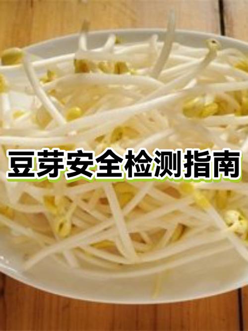 生豆芽吃了会不会中毒