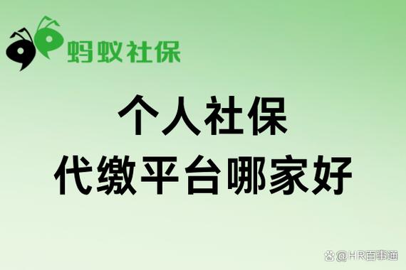 个人缴纳社保代缴有哪些平台