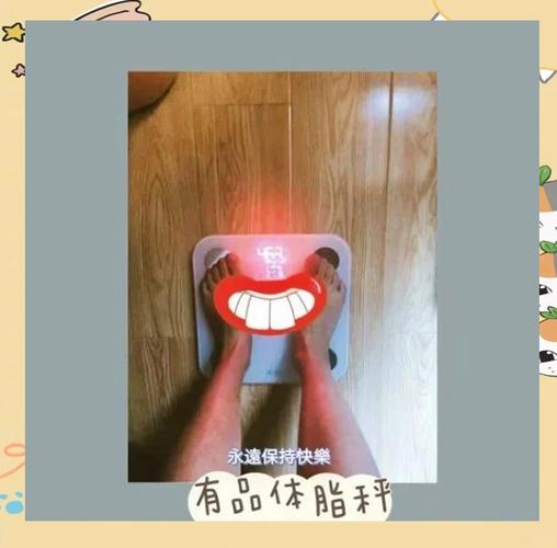 有品体脂称有几种