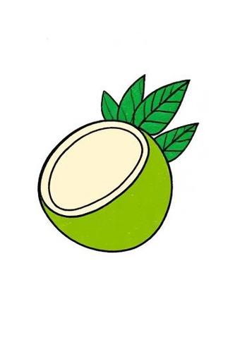 简版椰子