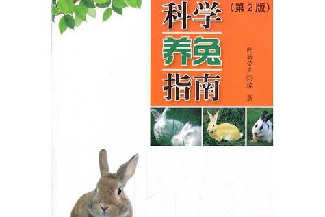 一个兔笼能养几只兔子