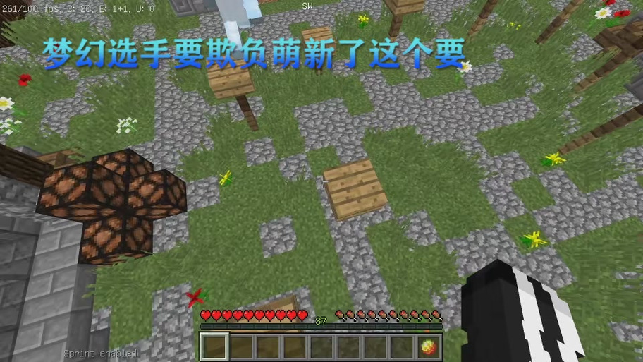 我的世界100天饥饿游戏缩略图