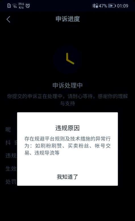 抖音账号异常的常见原因游戏截图