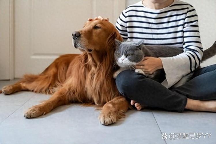 爱养宠物的人是什么心理