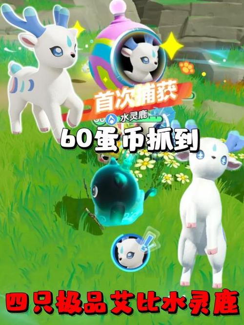 值得氪金的宠物
