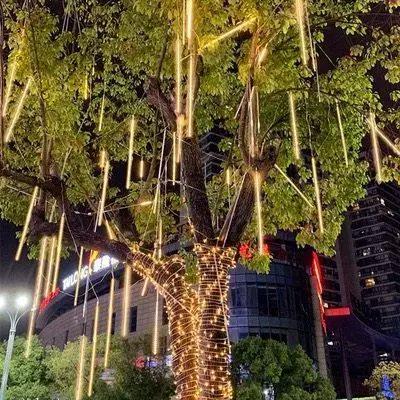 大树上挂流星雨图片