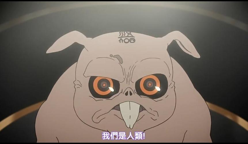 樱花动漫新世界动漫网图标