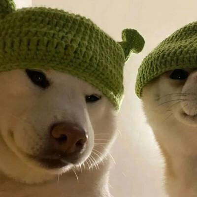 史上最沙雕情侣头像图标