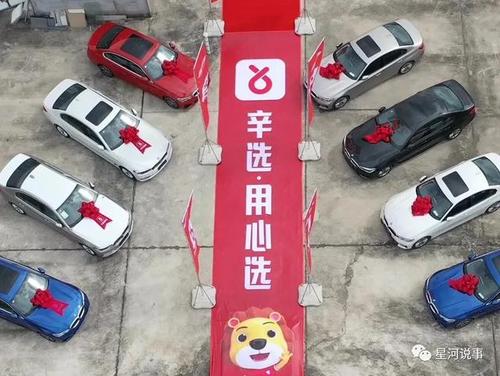 网鹿抖音平台