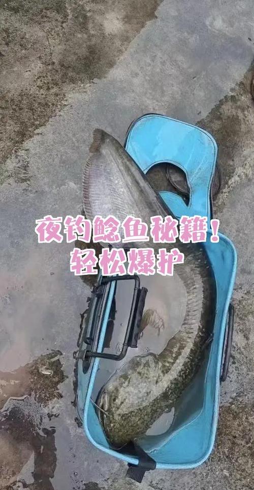 钓鱼鲶鱼的注意事项