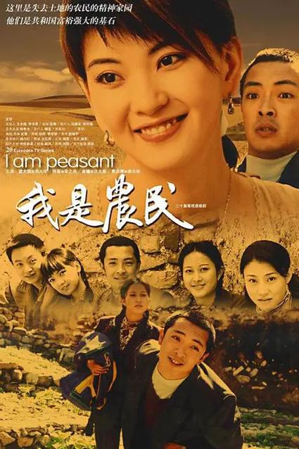 电视剧 我是农民