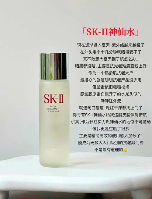 skii中文叫啥