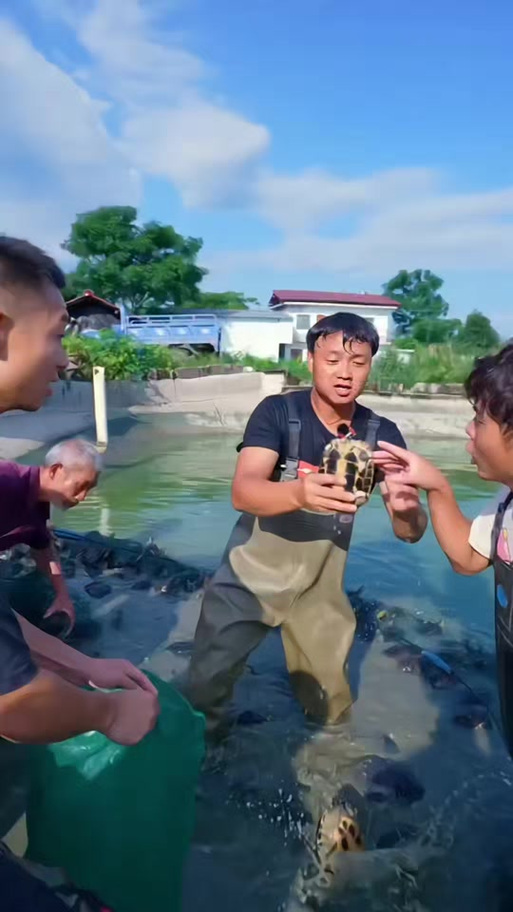视频抓鱼