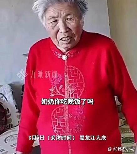 老奶奶和太奶奶的区别游戏截图