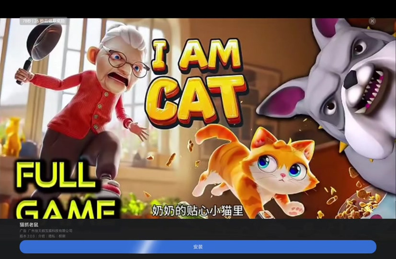 燃猫任务