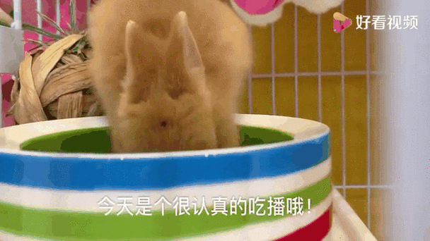 脚板心心都抓紧了