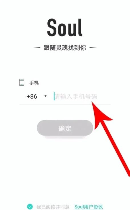 Soul注销需要人脸验证吗