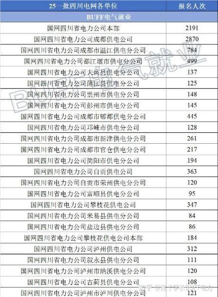 国网四川电力缴费
