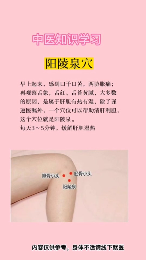阳陵泉的准确位置图