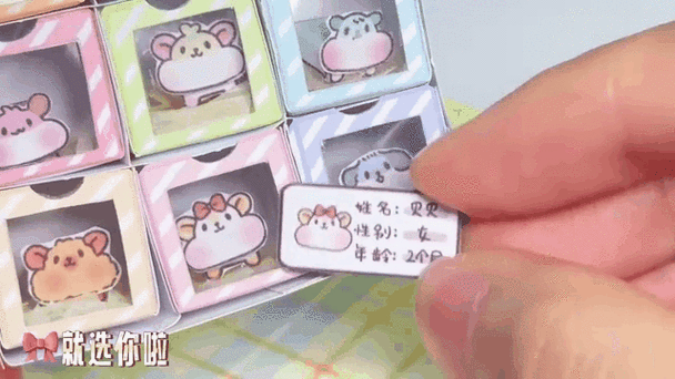 免费领养仓鼠的网站