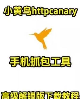 小黄鸟reqable下载