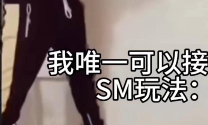 sm圈子里接稿投稿啥意思