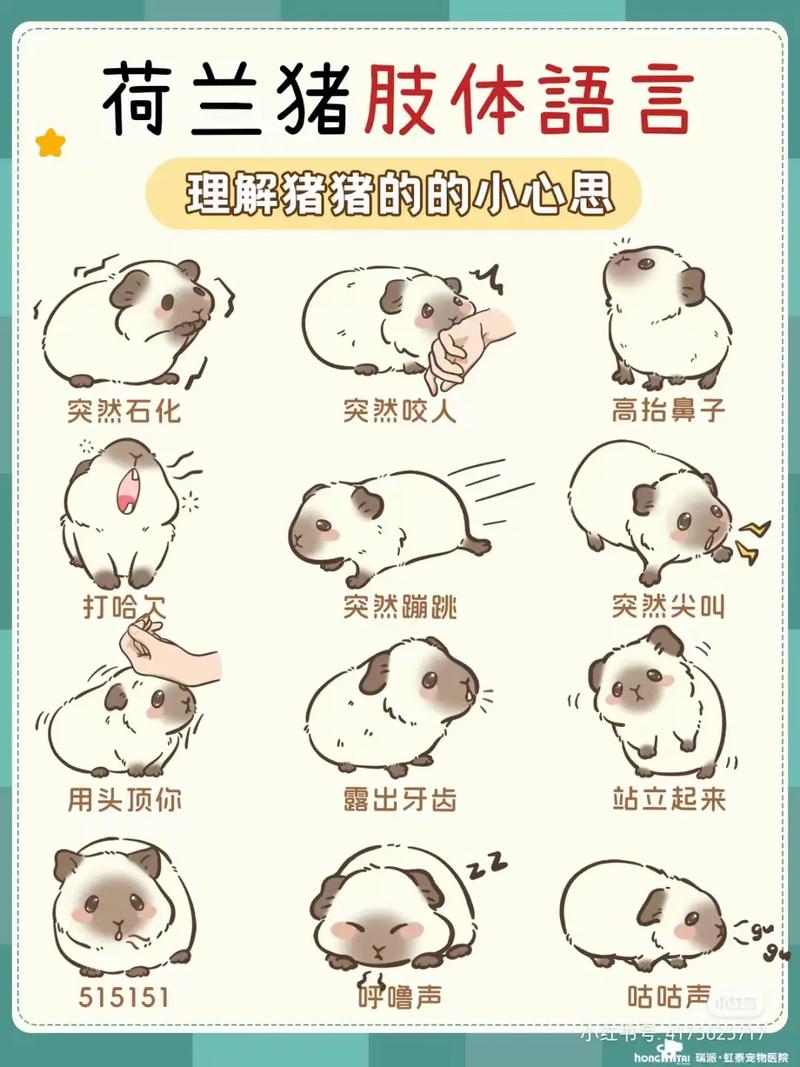 韩漫猪圈养成计划