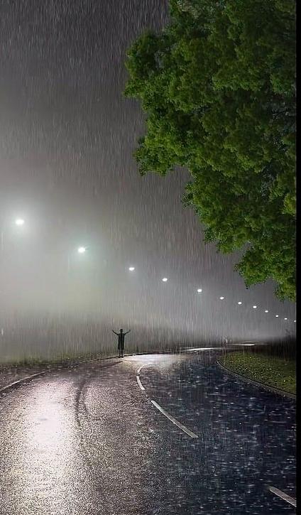 长路漫漫雨纷纷谁在痴痴的等