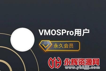 vmos应用程序未安装