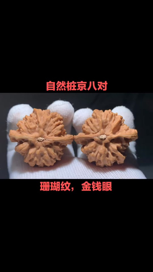 老孙家京八对