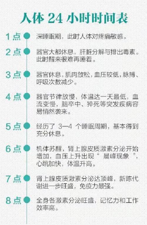 人体生物钟一览表