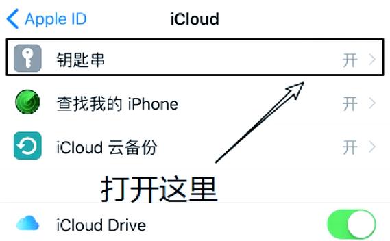 苹果密码自动填充什么意思
